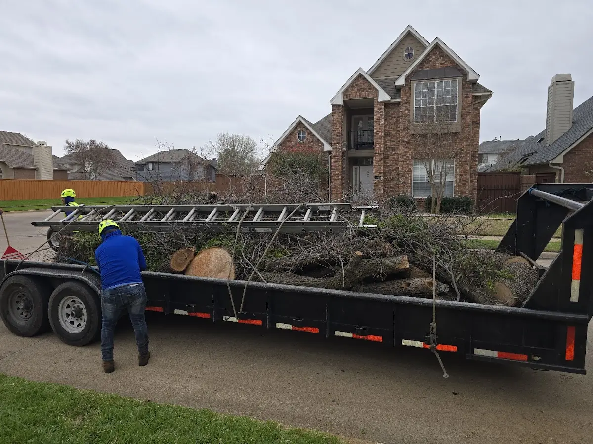 Expert Tree Removal with proper safety equipment in Donnellson
